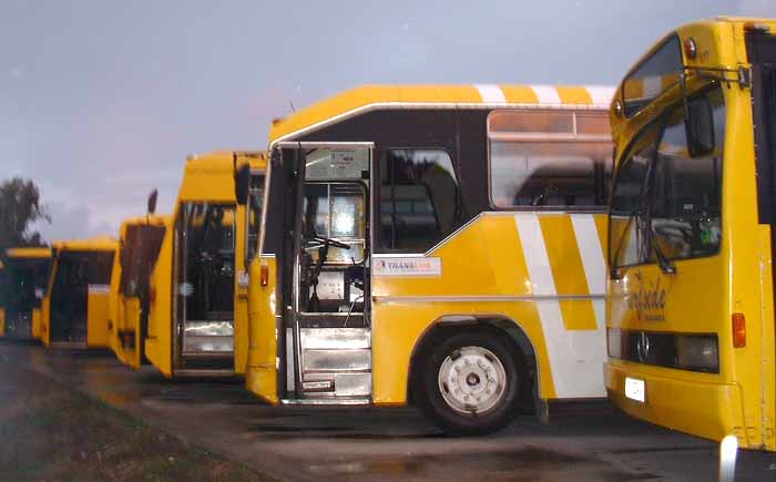 Surfside Buslines school buses